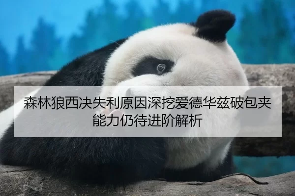 森林狼西决失利原因深挖爱德华兹破包夹能力仍待进阶解析