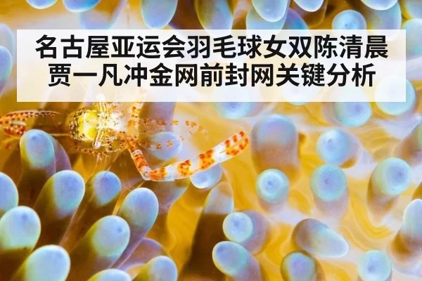 名古屋亚运会羽毛球女双陈清晨贾一凡冲金网前封网关键分析